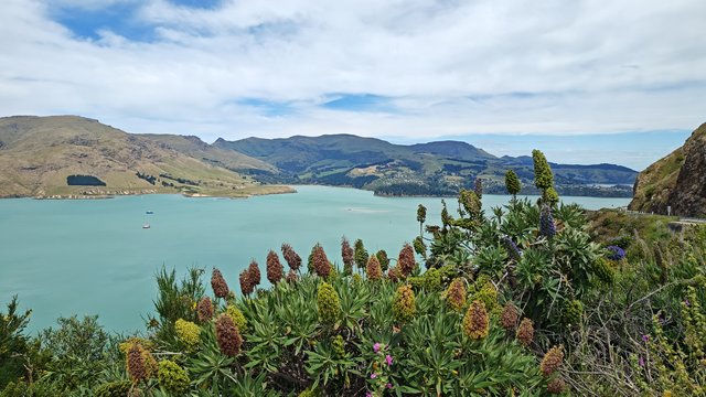 IMG 20231128 132006116