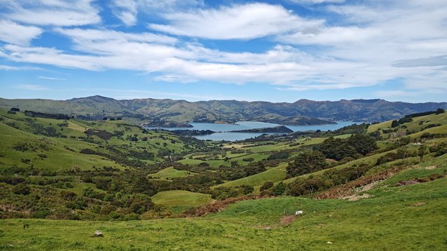 IMG 20231128 151554201