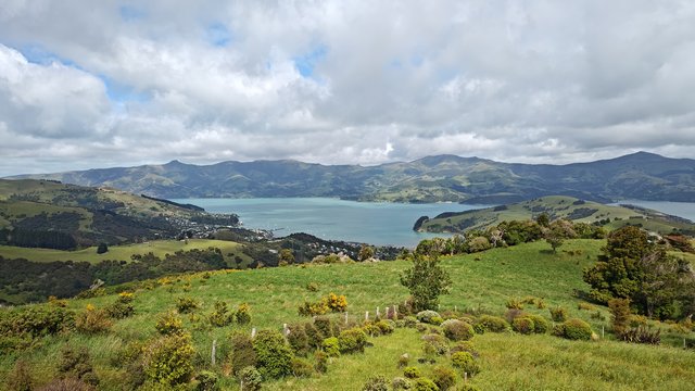 IMG 20231129 102505942