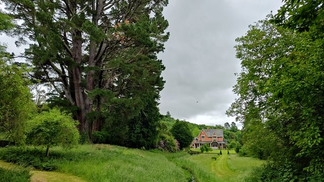 IMG 20231201 121640280 HDR