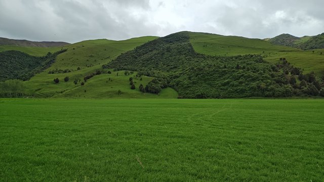 IMG 20231201 125123731