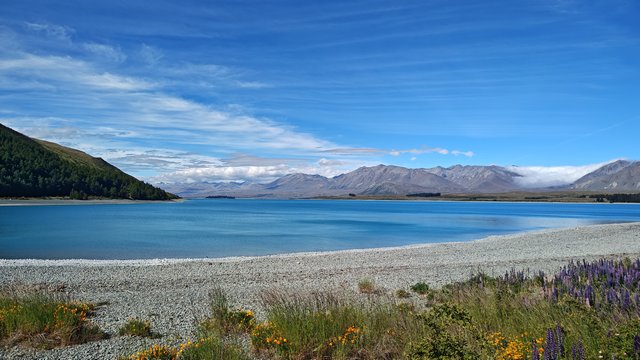 IMG 20231201 170015483