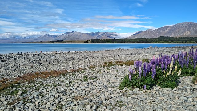 IMG 20231201 172145034