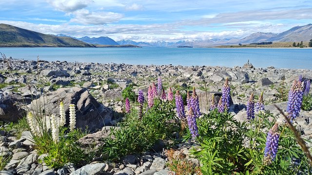 IMG 20231201 173815366