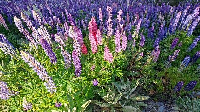 IMG 20231201 190053901