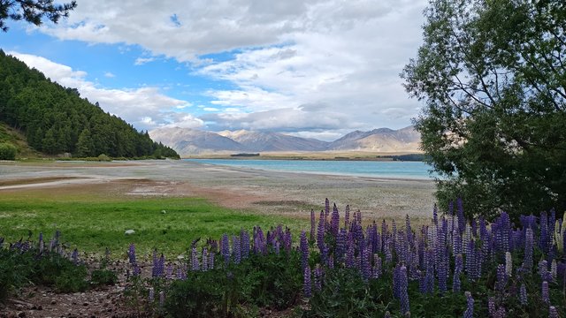 IMG 20231202 183449048