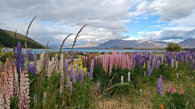 IMG 20231202 184443399