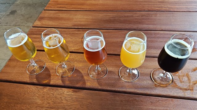 IMG 20231202 193541643