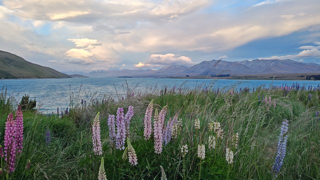 IMG 20231202 204655765