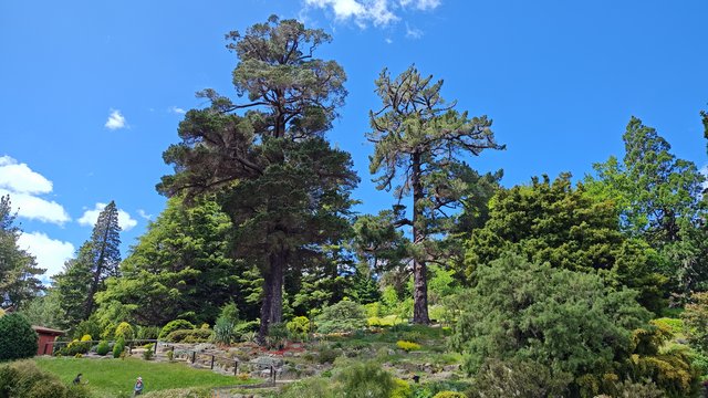 IMG 20231207 125401920