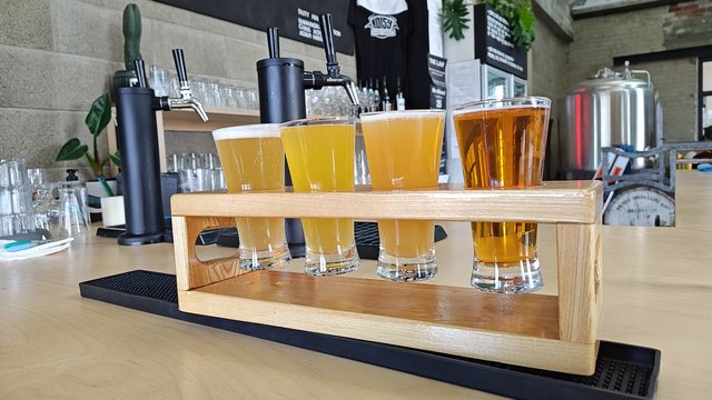 IMG 20231207 135843847