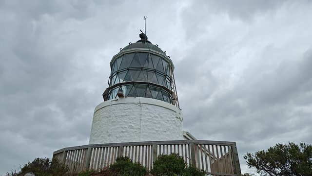 IMG 20231208 123425965