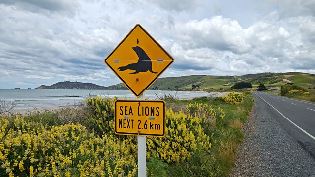 IMG 20231208 140510134