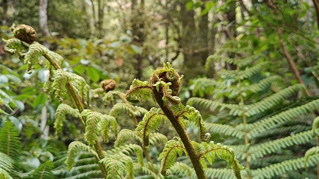 IMG 20231208 161754969