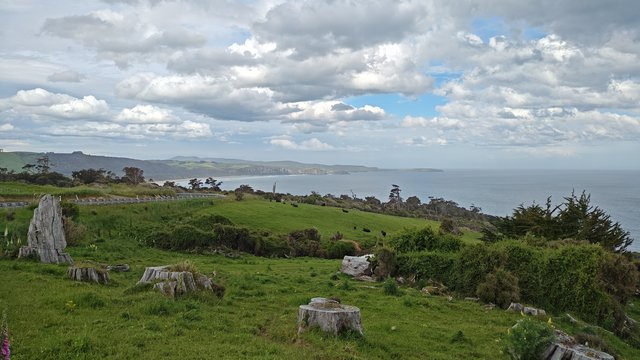 IMG 20231208 171902689