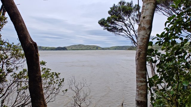 IMG 20231209 123112485