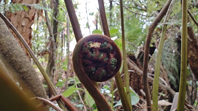 IMG 20231209 123320608 HDR