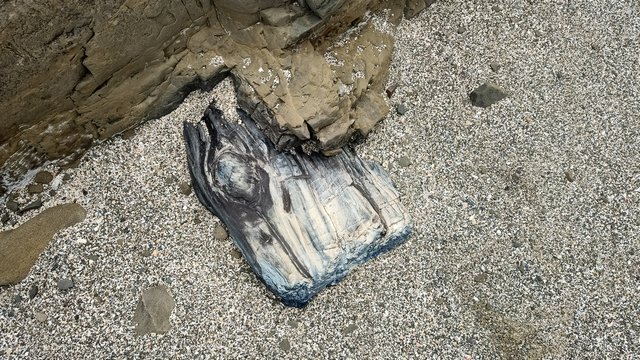 IMG 20231209 130843702 HDR