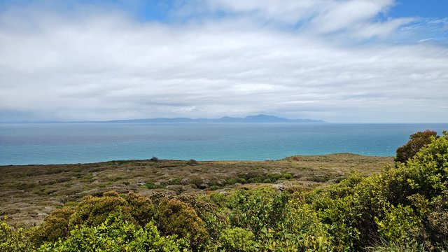 IMG 20231211 122137636