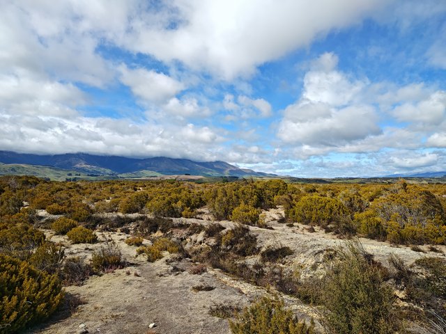 IMG 20231213 102251946