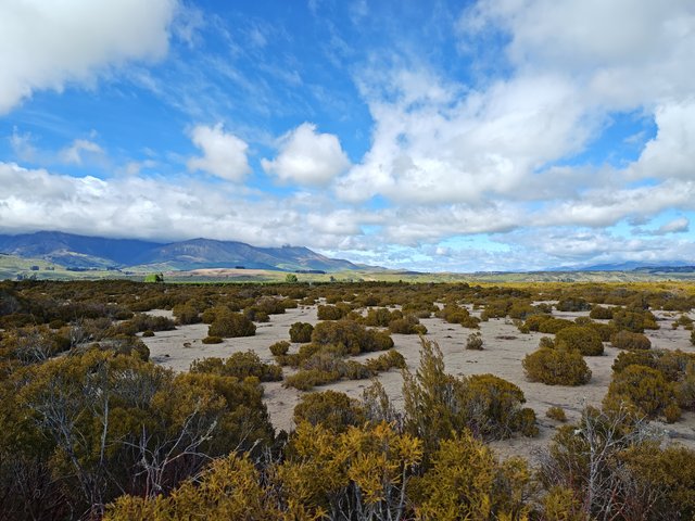 IMG 20231213 102606464