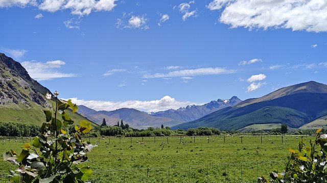 IMG 20231213 142051328