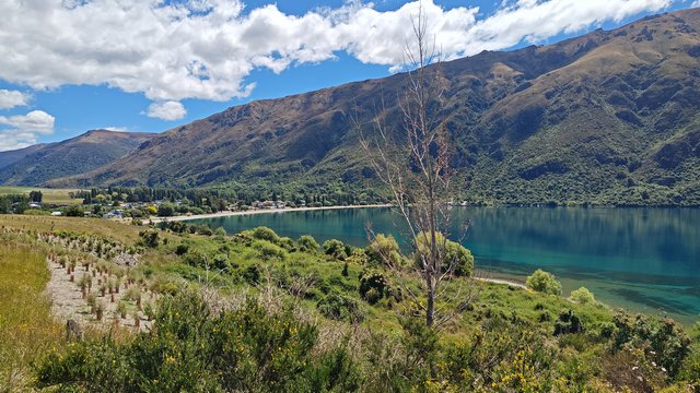 IMG 20231213 145251289