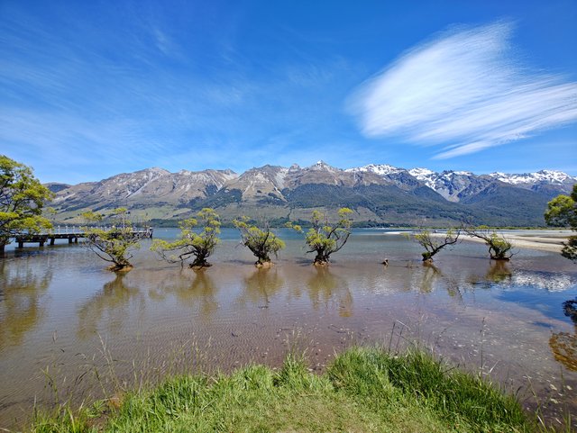 IMG 20231214 121745647