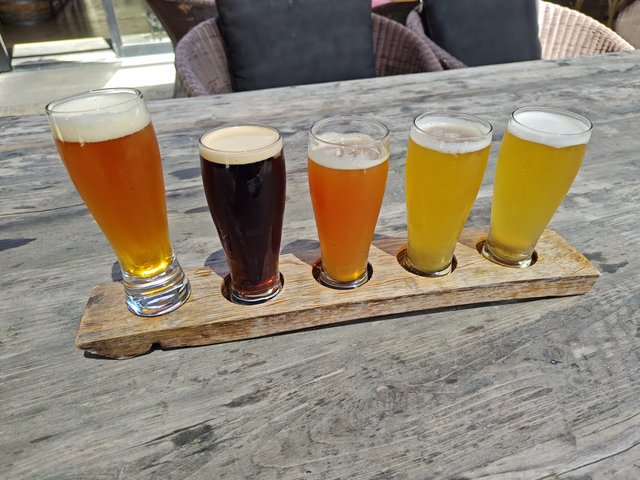 IMG 20231216 123014122