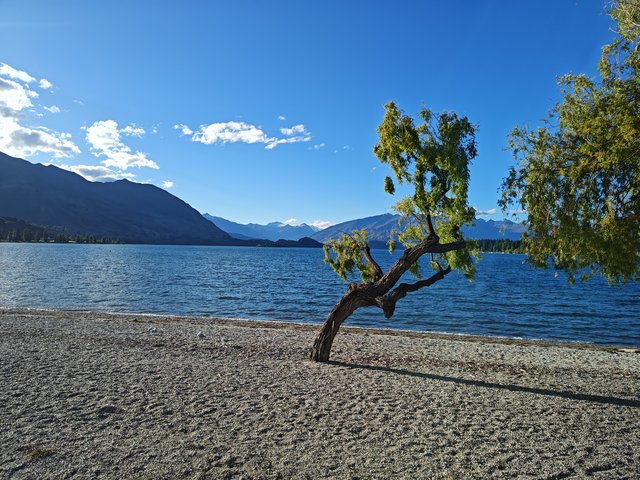 IMG 20231217 193506091