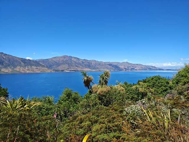 IMG 20231218 134845938