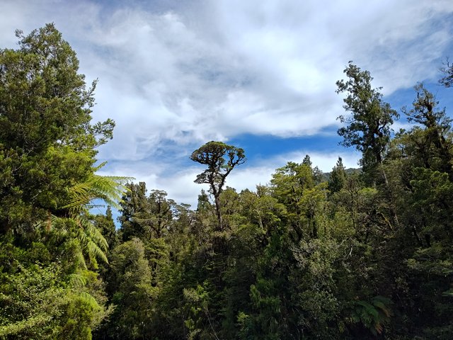 IMG 20231219 114049787 HDR