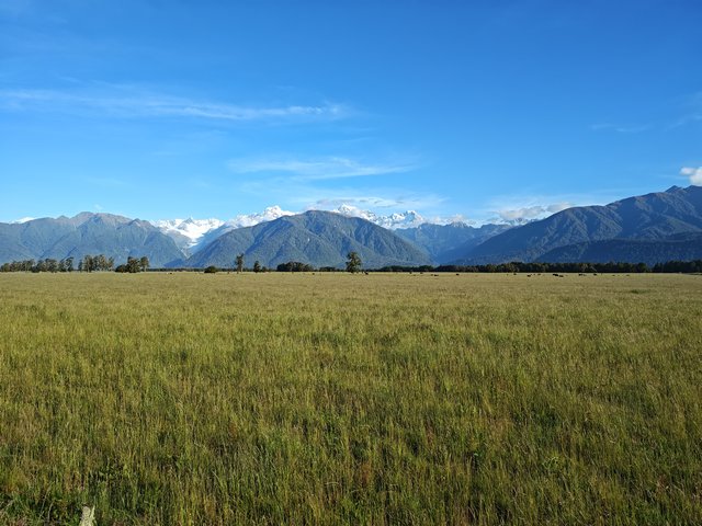 IMG 20231219 192730831