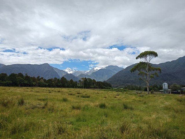 IMG 20231220 121234306