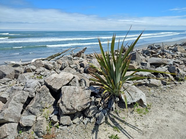 IMG 20231221 113734478 HDR