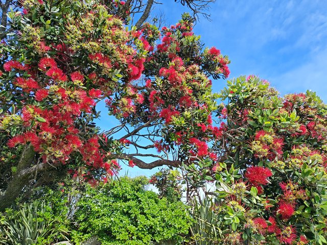 IMG 20231221 113956228