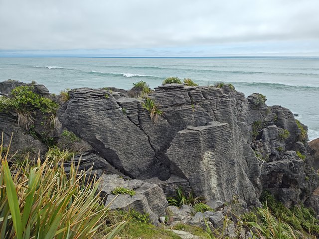 IMG 20231221 160328479