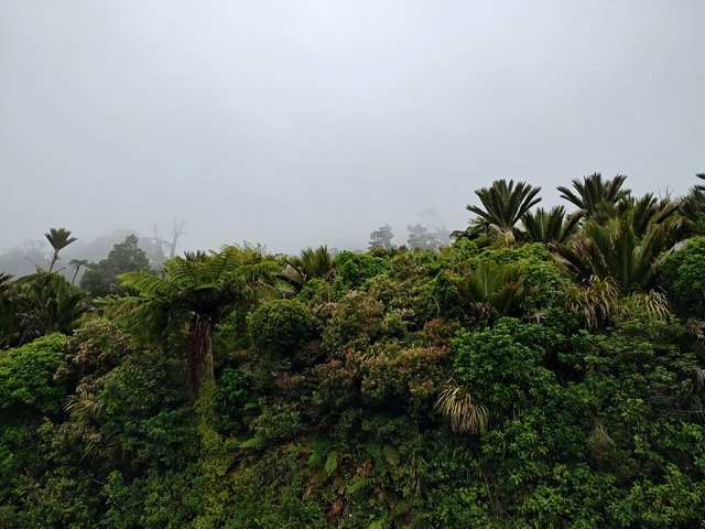 IMG 20231221 174226857 HDR