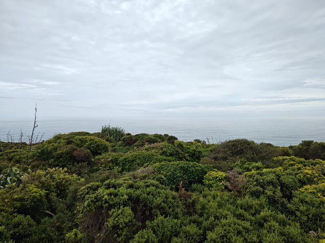 IMG 20231222 131653532