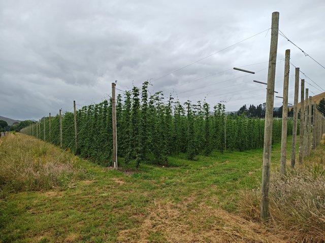 IMG 20231223 132905465