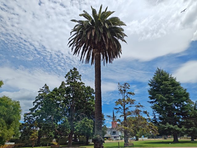 IMG 20231225 124055645