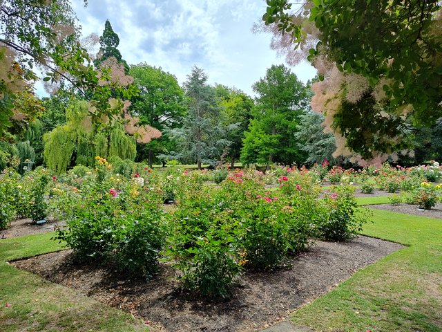 IMG 20231225 144957164 HDR