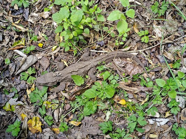 IMG 20231227 131708263