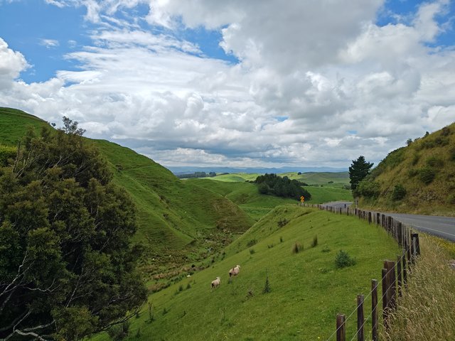 IMG 20231230 115229699