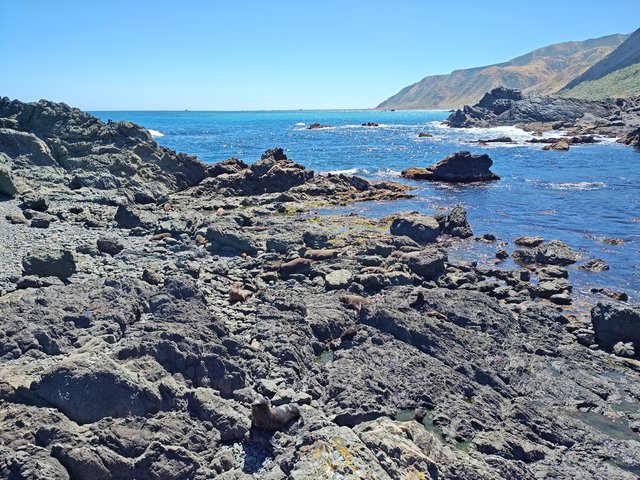 IMG 20240101 151859255