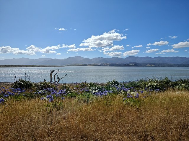 IMG 20240101 165050634 HDR