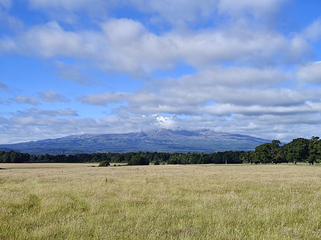 IMG 20240102 183005902