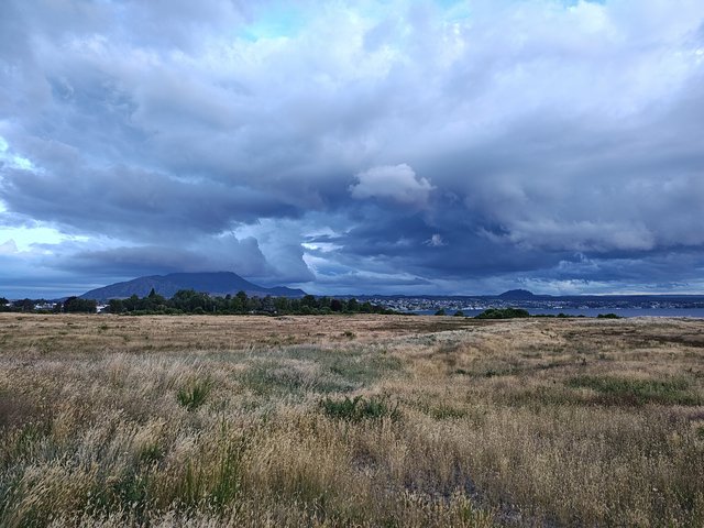 IMG 20240104 203601696