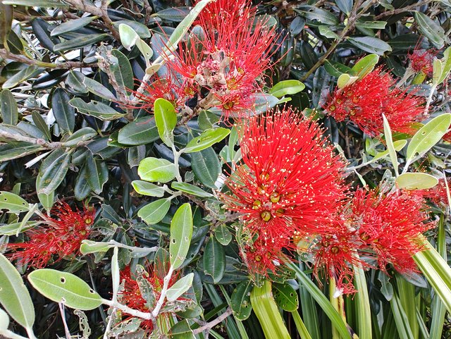 IMG 20240105 110617234