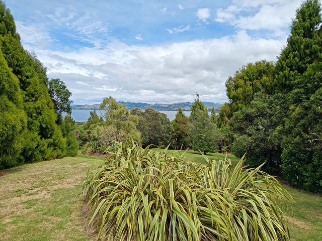 IMG 20240105 110640860